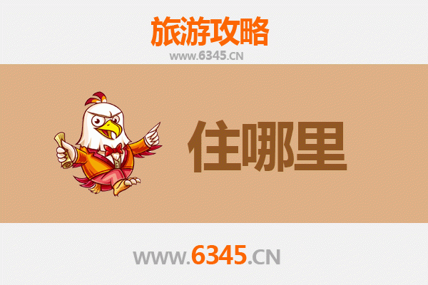 邢台南宫旅游民宿全攻略：沉浸式体验古城韵味
